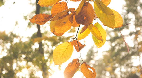 5 Ways To Ease Your Wardrobe Into Autumn